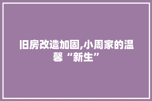 旧房改造加固,小周家的温馨“新生”