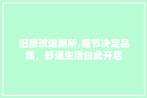 旧房改造厕所,细节决定品质，舒适生活由此开启
