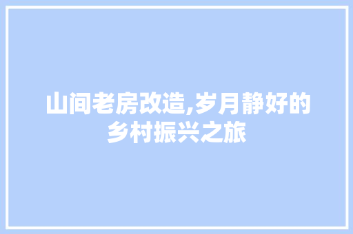 山间老房改造,岁月静好的乡村振兴之旅