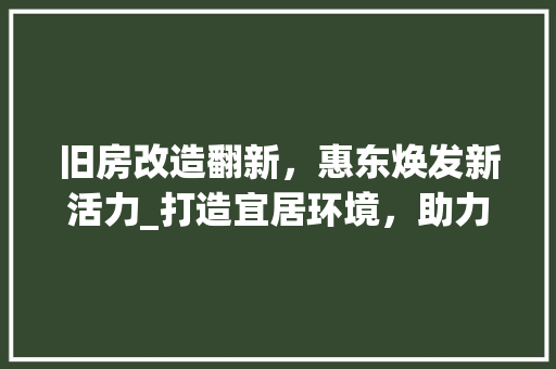 旧房改造翻新，惠东焕发新活力_打造宜居环境，助力乡村振兴