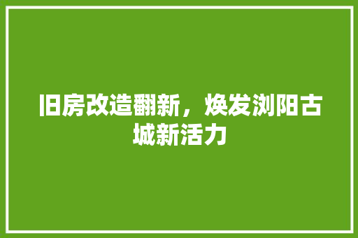 旧房改造翻新，焕发浏阳古城新活力