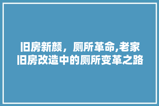 旧房新颜，厕所革命,老家旧房改造中的厕所变革之路