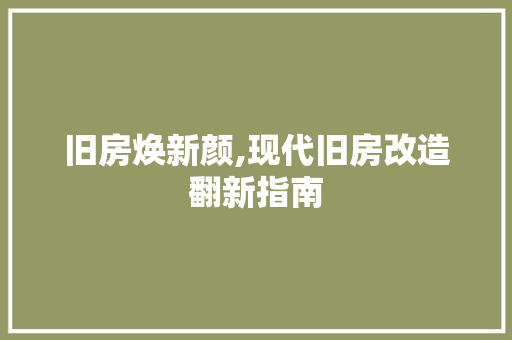 旧房焕新颜,现代旧房改造翻新指南