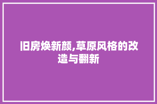 旧房焕新颜,草原风格的改造与翻新