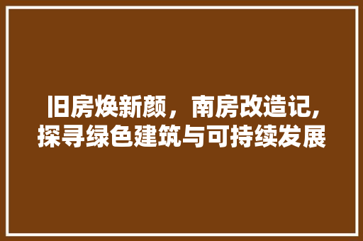 旧房焕新颜，南房改造记,探寻绿色建筑与可持续发展的和谐共鸣