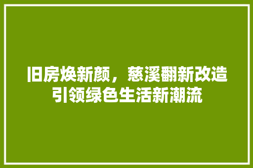 旧房焕新颜，慈溪翻新改造引领绿色生活新潮流