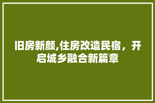 旧房新颜,住房改造民宿，开启城乡融合新篇章