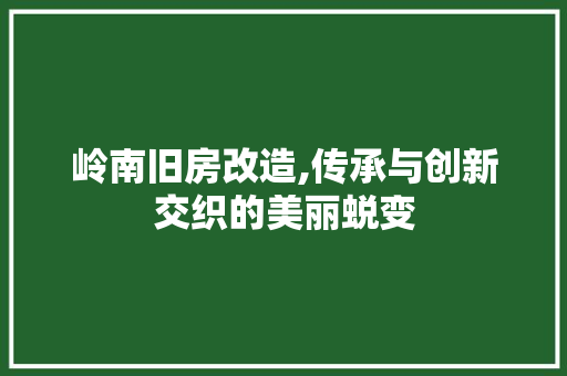 岭南旧房改造,传承与创新交织的美丽蜕变
