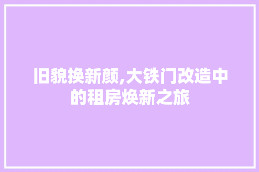 旧貌换新颜,大铁门改造中的租房焕新之旅