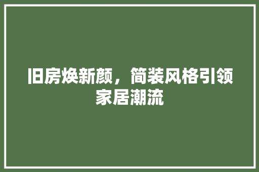 旧房焕新颜，简装风格引领家居潮流