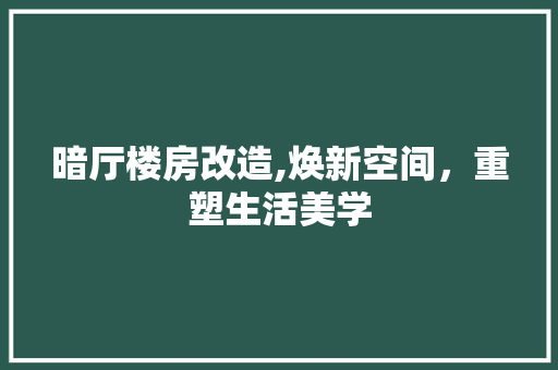 暗厅楼房改造,焕新空间，重塑生活美学