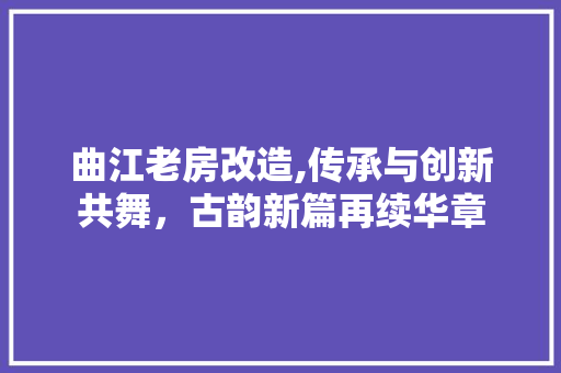 曲江老房改造,传承与创新共舞，古韵新篇再续华章