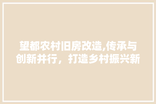 望都农村旧房改造,传承与创新并行，打造乡村振兴新引擎