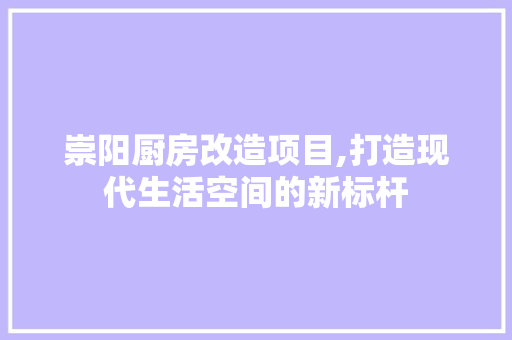 崇阳厨房改造项目,打造现代生活空间的新标杆