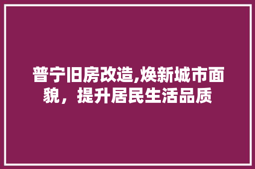 普宁旧房改造,焕新城市面貌，提升居民生活品质