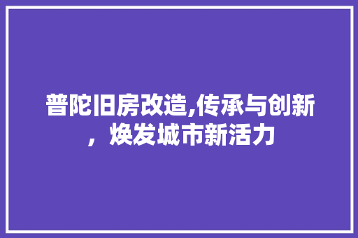 普陀旧房改造,传承与创新，焕发城市新活力