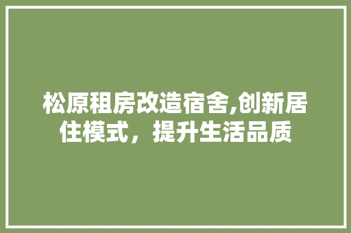 松原租房改造宿舍,创新居住模式，提升生活品质