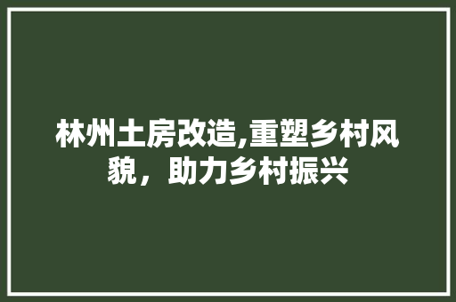 林州土房改造,重塑乡村风貌，助力乡村振兴