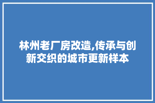林州老厂房改造,传承与创新交织的城市更新样本
