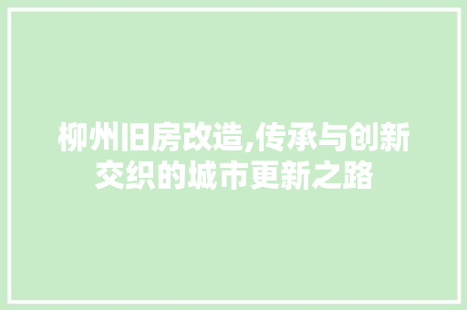 柳州旧房改造,传承与创新交织的城市更新之路