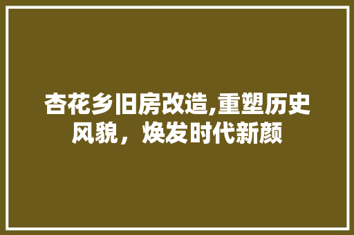 杏花乡旧房改造,重塑历史风貌，焕发时代新颜