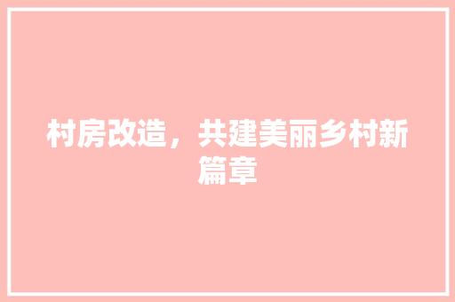 村房改造，共建美丽乡村新篇章
