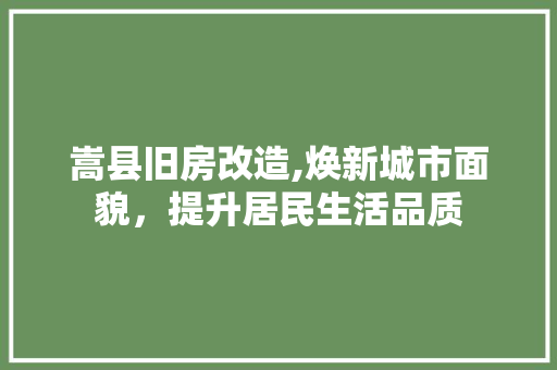 嵩县旧房改造,焕新城市面貌，提升居民生活品质