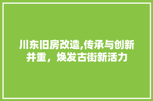 川东旧房改造,传承与创新并重，焕发古街新活力