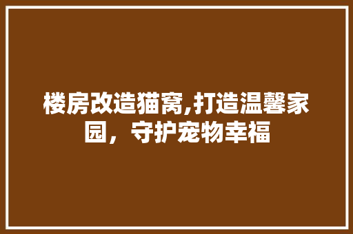 楼房改造猫窝,打造温馨家园，守护宠物幸福