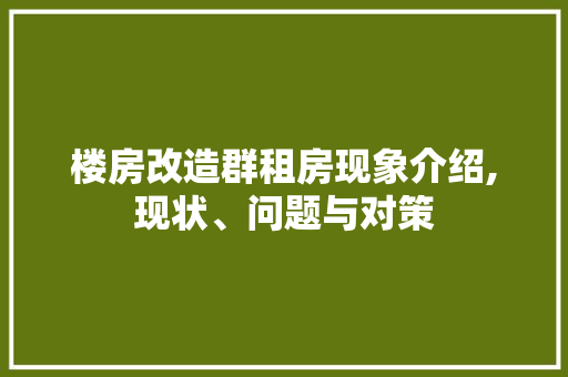 楼房改造群租房现象介绍,现状、问题与对策