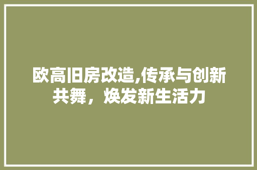 欧高旧房改造,传承与创新共舞，焕发新生活力