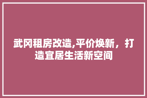 武冈租房改造,平价焕新，打造宜居生活新空间