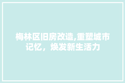梅林区旧房改造,重塑城市记忆，焕发新生活力