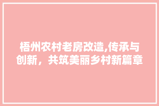 梧州农村老房改造,传承与创新，共筑美丽乡村新篇章