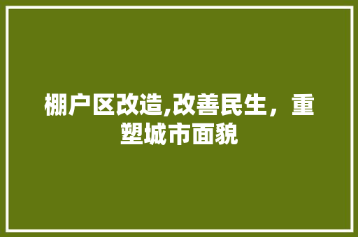 棚户区改造,改善民生，重塑城市面貌