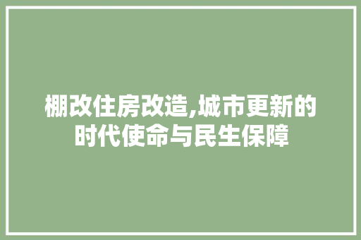 棚改住房改造,城市更新的时代使命与民生保障