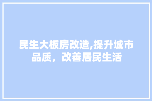 民生大板房改造,提升城市品质，改善居民生活