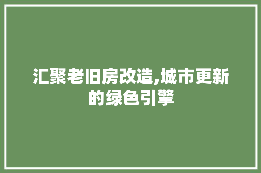汇聚老旧房改造,城市更新的绿色引擎