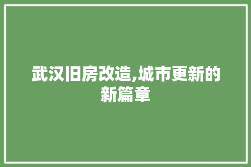 武汉旧房改造,城市更新的新篇章