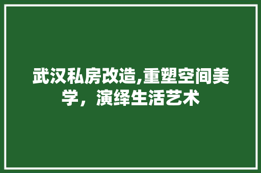 武汉私房改造,重塑空间美学，演绎生活艺术
