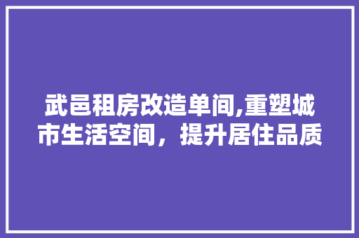 武邑租房改造单间,重塑城市生活空间，提升居住品质