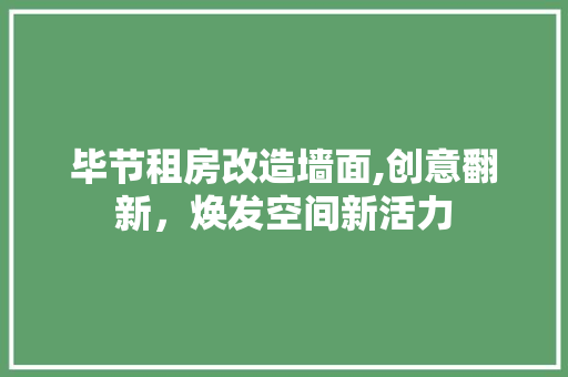 毕节租房改造墙面,创意翻新，焕发空间新活力
