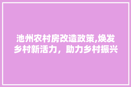 池州农村房改造政策,焕发乡村新活力，助力乡村振兴
