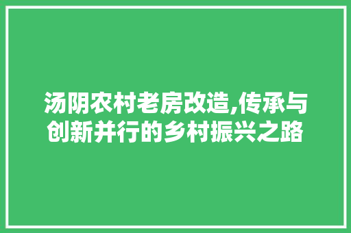 汤阴农村老房改造,传承与创新并行的乡村振兴之路