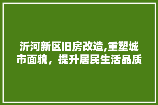 沂河新区旧房改造,重塑城市面貌，提升居民生活品质