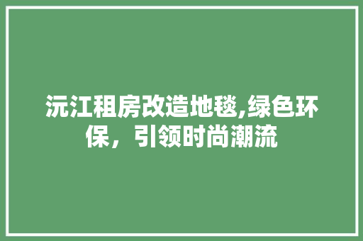 沅江租房改造地毯,绿色环保，引领时尚潮流