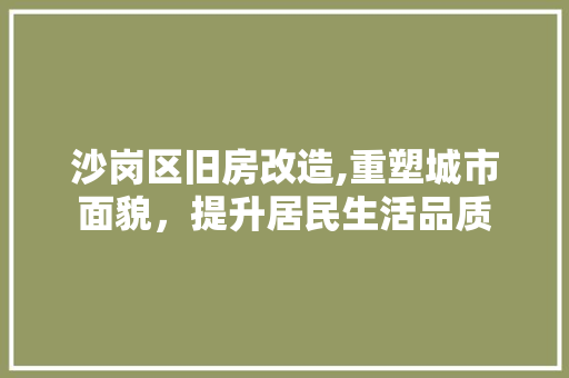 沙岗区旧房改造,重塑城市面貌，提升居民生活品质