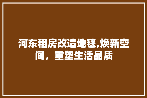 河东租房改造地毯,焕新空间，重塑生活品质