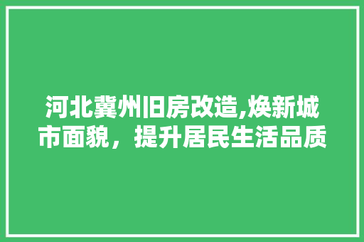 河北冀州旧房改造,焕新城市面貌，提升居民生活品质