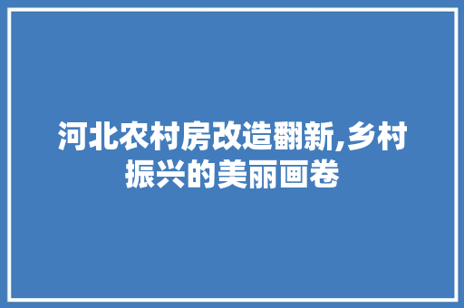 河北农村房改造翻新,乡村振兴的美丽画卷